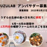 2025.5.27　利用規約