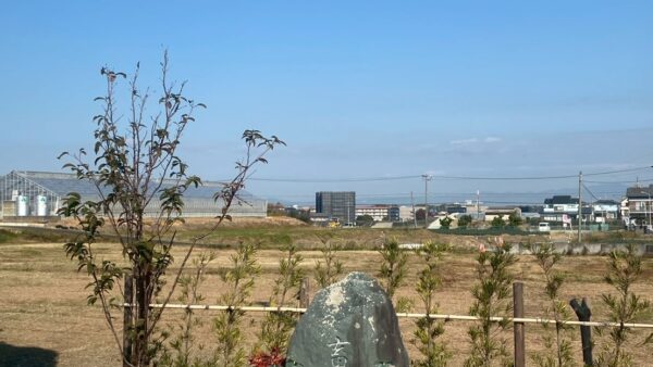 2025.12.1幡野ファーム、農場の風景