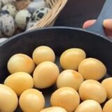 2025.8.28幡野ファーム,うずらのたまごレシピ🍳