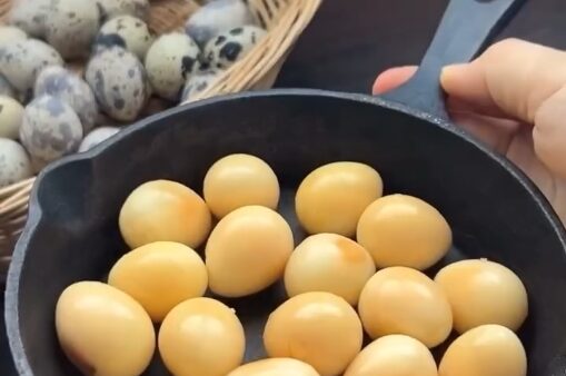 2025.8.28幡野ファーム,うずらのたまごレシピ🍳