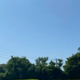 2025.8.19幡野ファーム、農場の風景