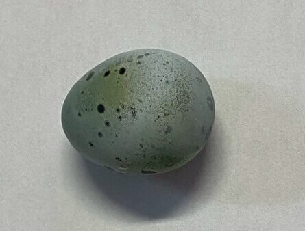 2025.8.7幡野ファーム、農場の風景