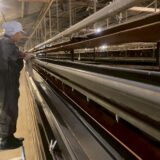 2025.9.29幡野ファーム、農場の風景