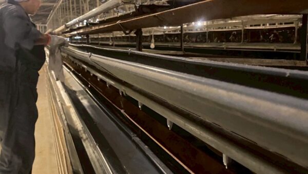 2025.9.29幡野ファーム、農場の風景