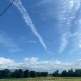 2025.9.19幡野ファーム、成鶉移動