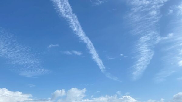 2025.9.19幡野ファーム、成鶉移動