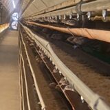 2025.9.22幡野ファーム、農場の風景