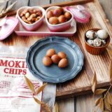 2025.7.4  幡野ファーム,うずらのたまごレシピ🍳