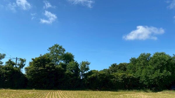 2025.9.1幡野ファーム、農場の風景