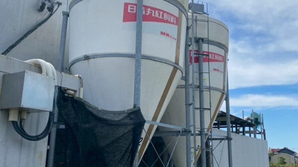 2025.9.2幡野ファーム、農場の風景