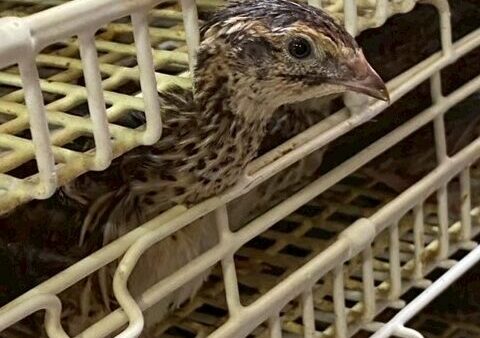 2025.9.4幡野ファーム、作業風景