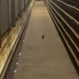 2025.10.21幡野ファーム、農場の風景