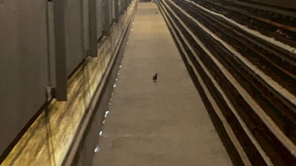 2025.10.21幡野ファーム、農場の風景