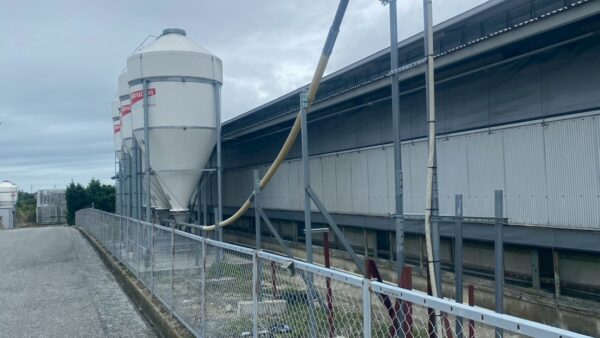 2025.10.16幡野ファーム、農場の風景