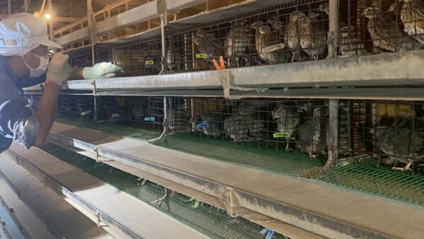 2025.10.23幡野ファーム、農場の風景