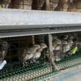 2025.10.30幡野ファーム、農場の風景