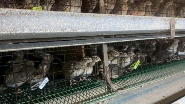 2025.10.30幡野ファーム、農場の風景