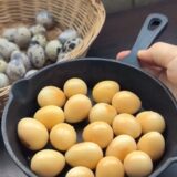 2025.8.28幡野ファーム,うずらのたまごレシピ🍳