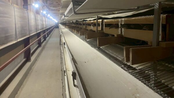 2025.11.25幡野ファーム、農場の風景