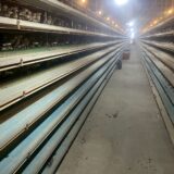 2025.11.21幡野ファーム、農場の風景