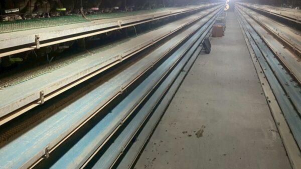 2025.11.21幡野ファーム、農場の風景