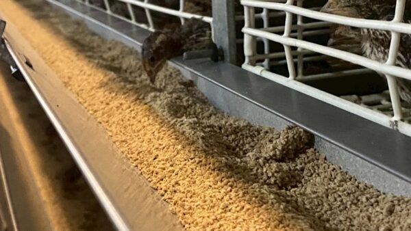 2025.11.11幡野ファーム、農場の風景