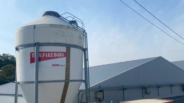 2025.12.4幡野ファーム、農場の風景