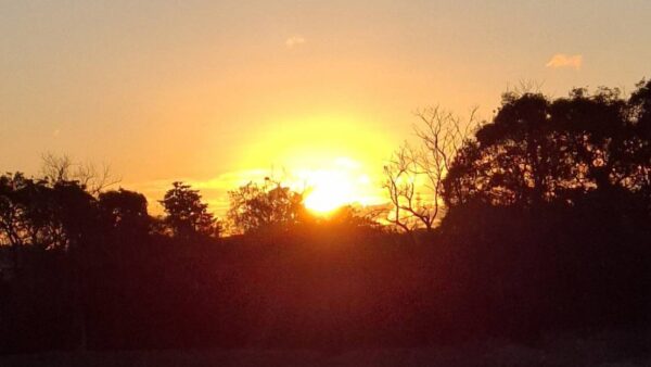 2026.1.1　謹賀新年