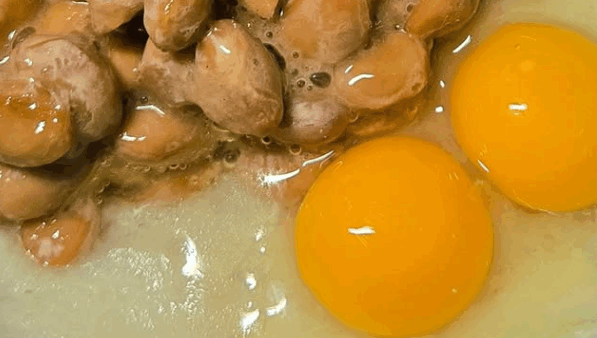 2026.1.14幡野ファーム,うずらのたまごレシピ🍳