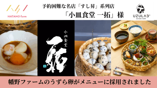 ミシュランプレート掲載の名店「すし昇」の大将が営む金山「小皿食堂 一拓」に弊社の卵が採用！