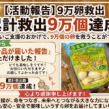 【支援者様からのお声】嬉しいお声をご紹介します✨　7/5-7/11