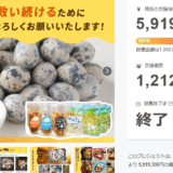 【支援者様からのお声】嬉しいお声をご紹介します✨　8/23-8/25