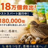 【支援者様からのお声】嬉しいお声をご紹介します✨　8/9-8/15