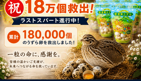 【支援者様からのお声】嬉しいお声をご紹介します✨　8/9-8/15