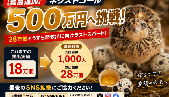 【支援者様からのお声】嬉しいお声をご紹介します✨　8/16-8/22