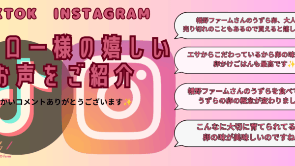 TikTok・Instagramフォロー様の嬉しいお声を集めてみました✨