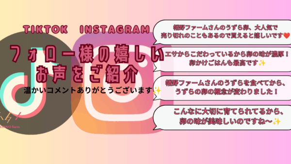 TikTok・Instagramフォロー様の嬉しいお声を集めてみました✨
